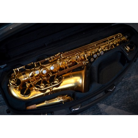 Alto Saxophone - Amaury Montac Model IIS