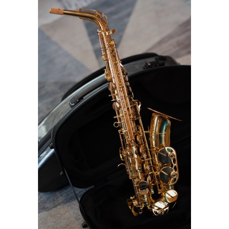 Alto Saxophone - Amaury Montac Model II