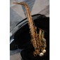 Alto Saxophone - Amaury Montac Model II