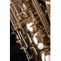 Alto Saxophone - Amaury Montac Model II