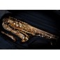 Alto Saxophone - Amaury Montac Model II