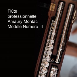 Flute professional - model Amaury Montac III